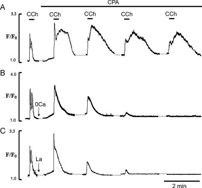 Fig. 8