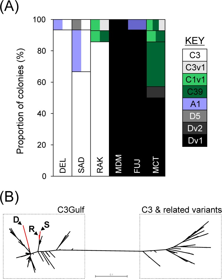 Fig 2