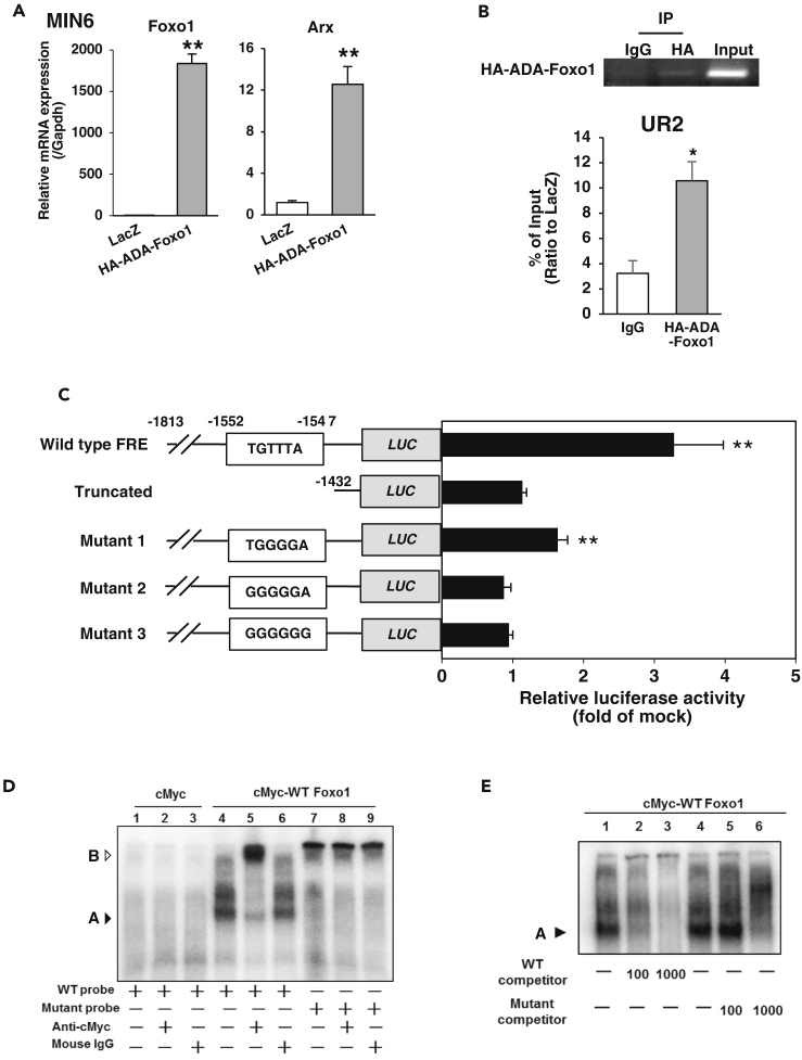 Figure 5