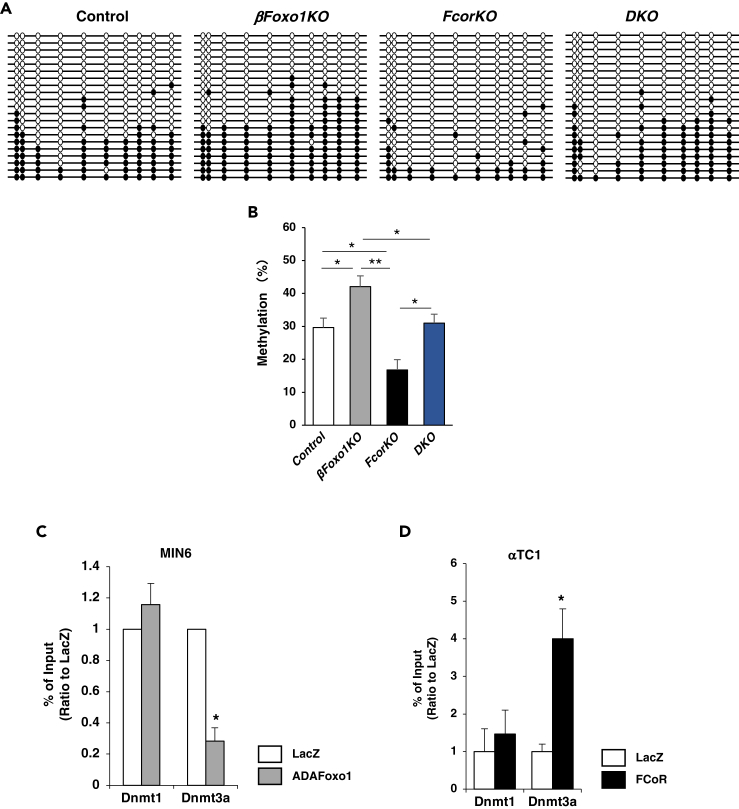 Figure 7