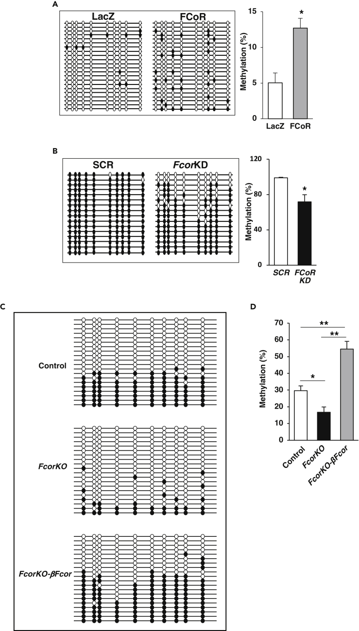 Figure 6