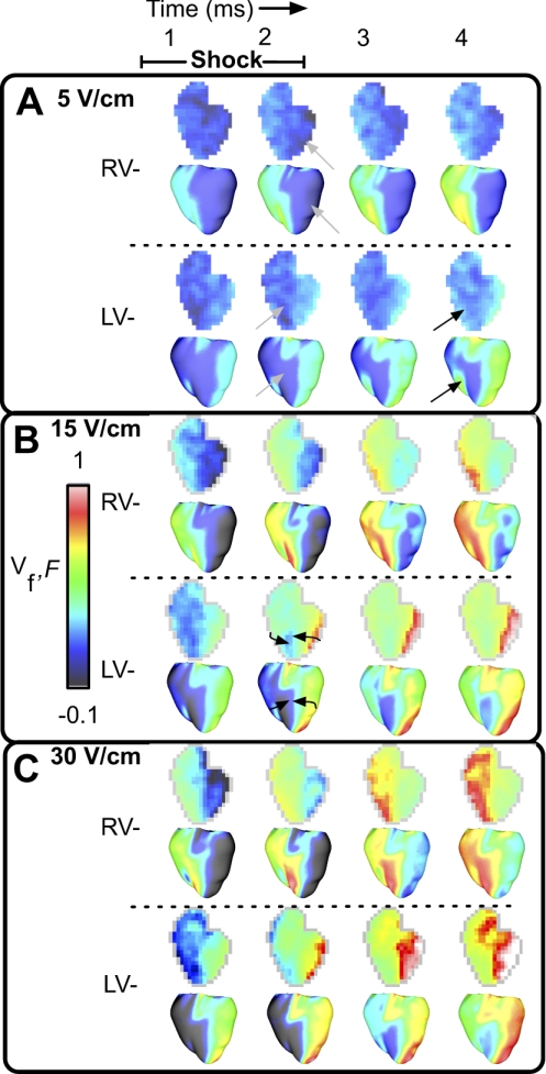 Fig. 3.