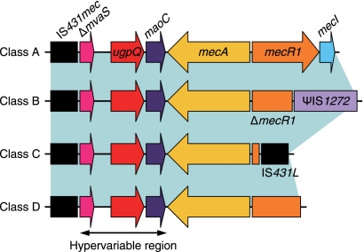 FIG. 1.