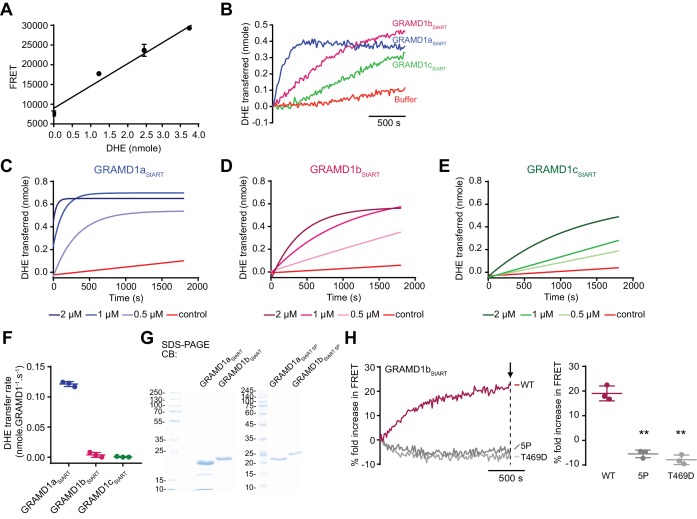 Figure 5—figure supplement 1.