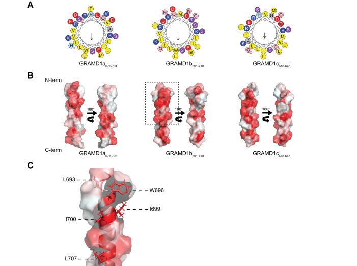 Figure 2—figure supplement 1.