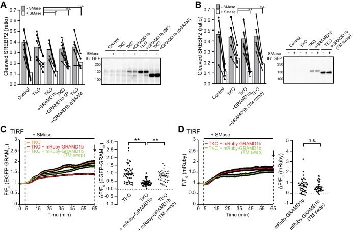 Figure 6—figure supplement 1.