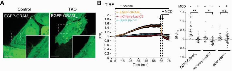 Figure 4—figure supplement 2.