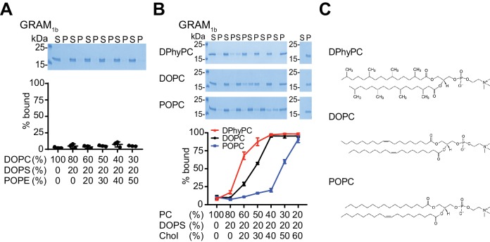 Figure 3—figure supplement 2.