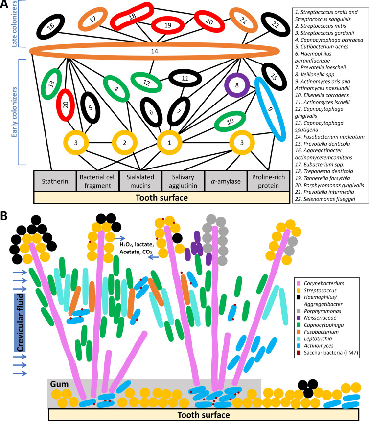 FIG 1