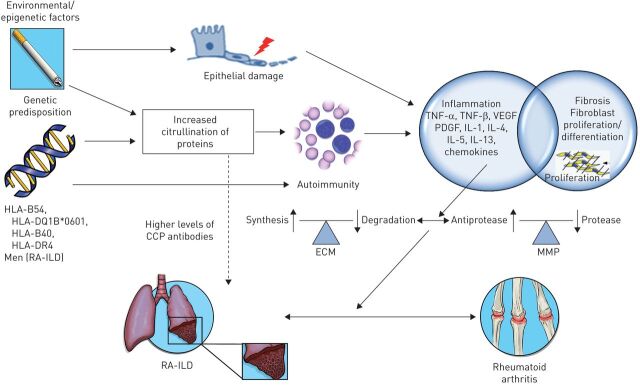 FIGURE 1