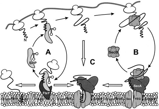 FIG. 3