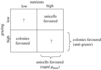 Figure 3.