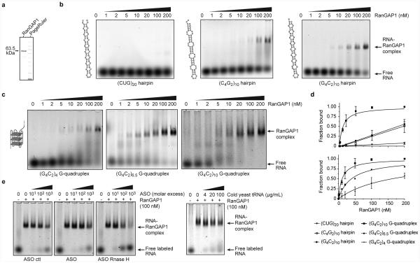 Extended Data Fig. 4