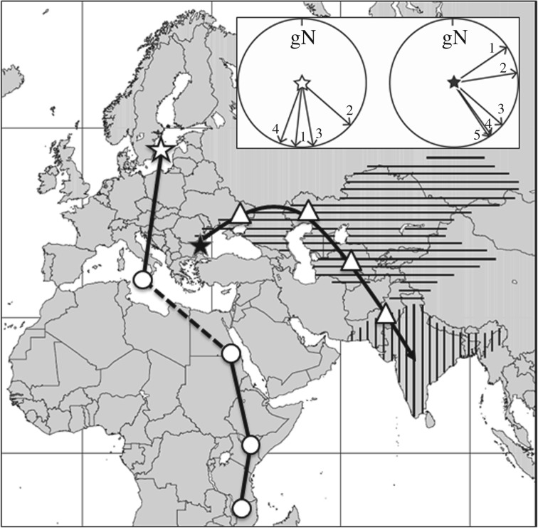 Figure 3.