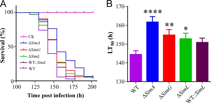 FIG 6