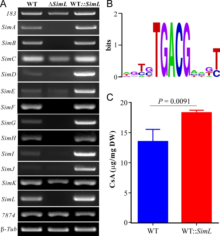 FIG 3