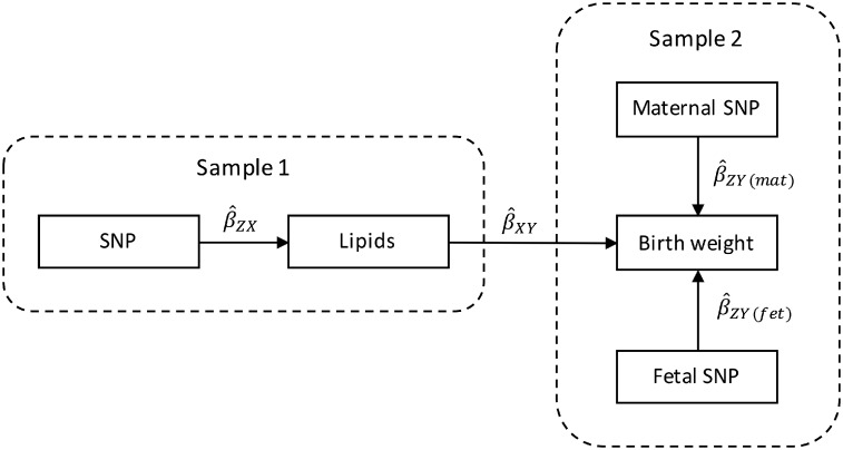 Figure 2.