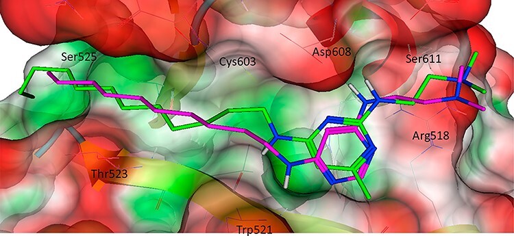 Figure 7