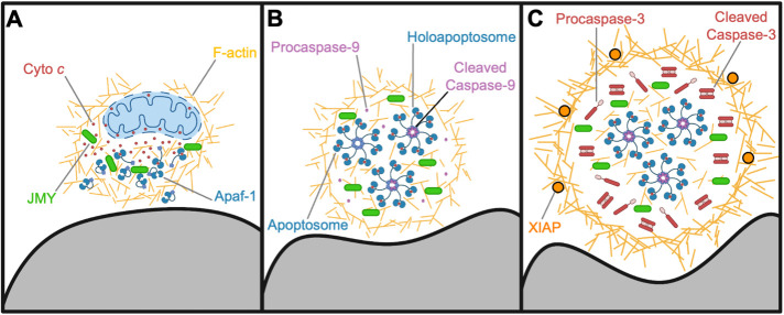 FIGURE 9: