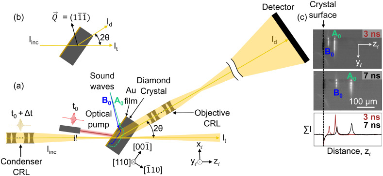 Fig. 1.