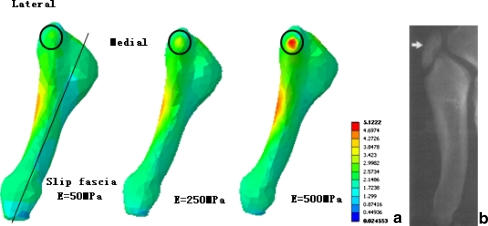 Fig. 7