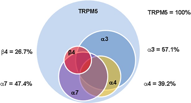 Fig 12