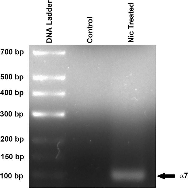 Fig 15