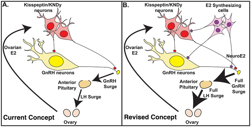 Figure 7: