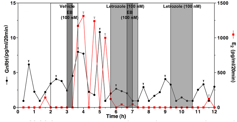 Figure 4: