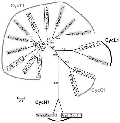 Figure 7.