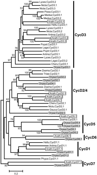 Figure 6.