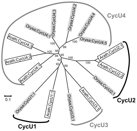 Figure 8.