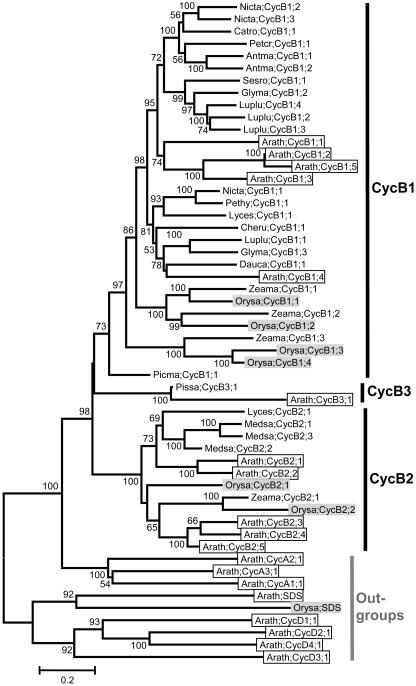 Figure 5.