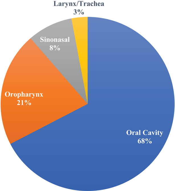 Figure 1A