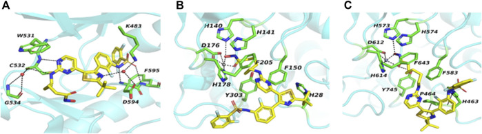 FIGURE 2