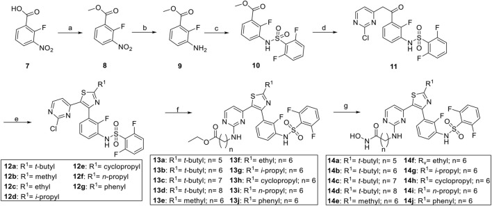 SCHEME 1