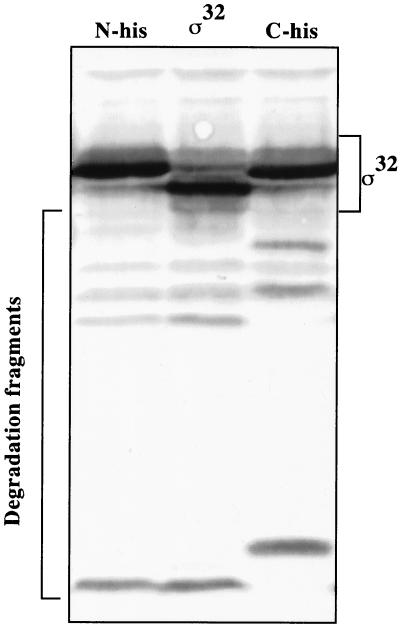 FIG. 9