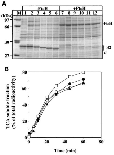 FIG. 5