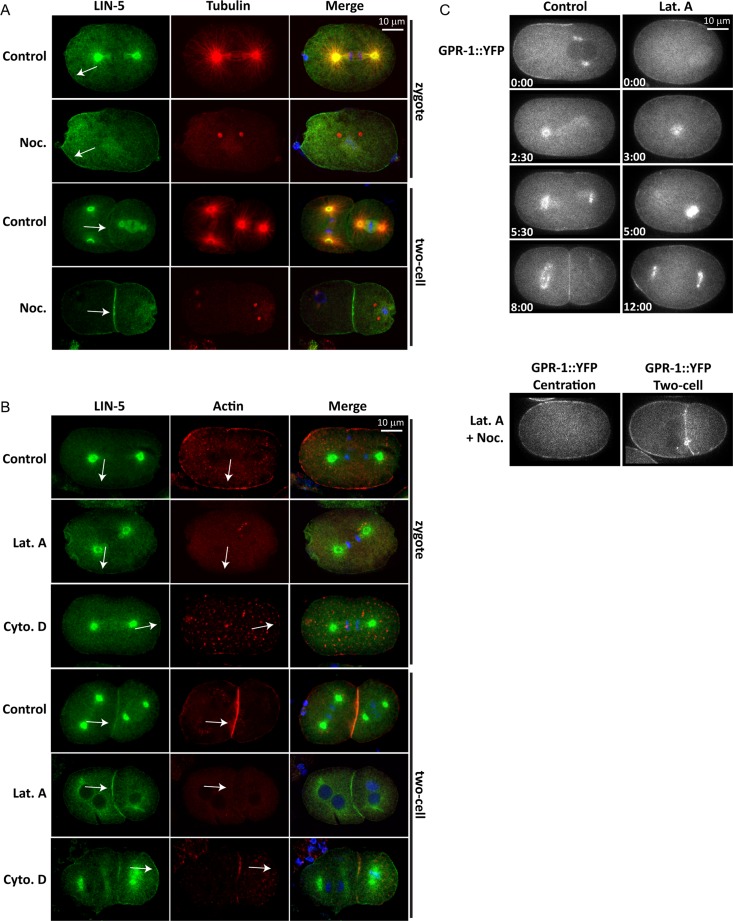 FIGURE 1: