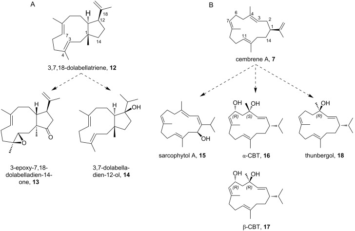 Scheme 3