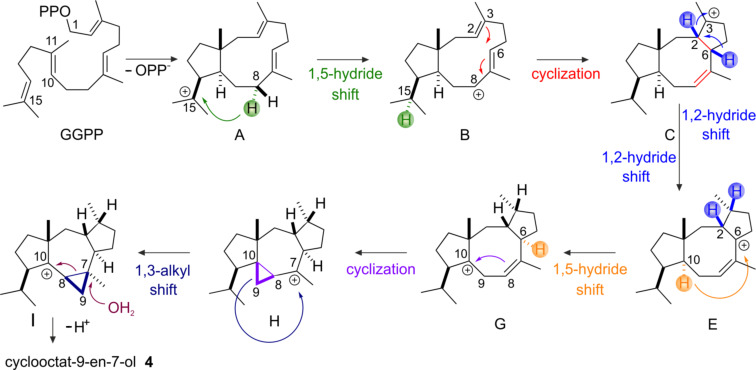 Scheme 2