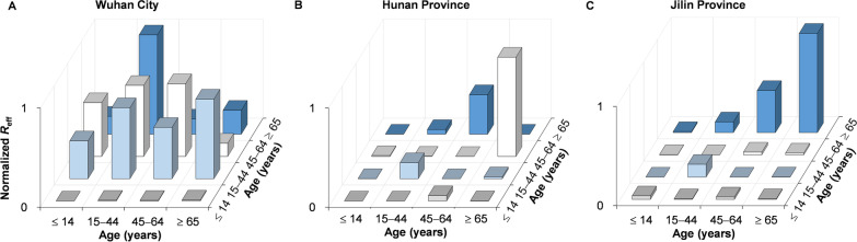 Fig. 13