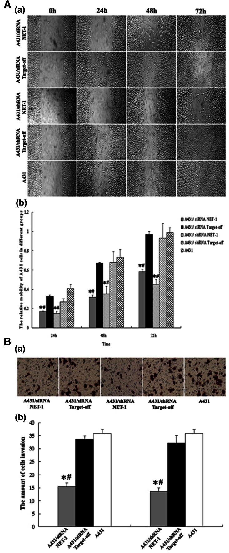 Fig. 6