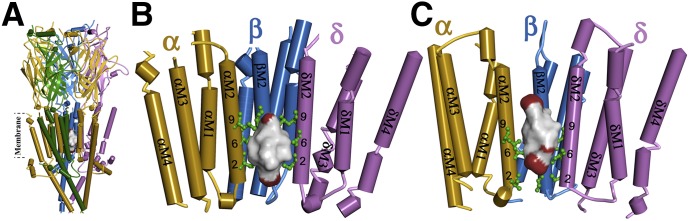 Fig. 10.