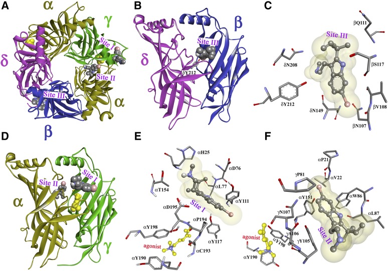 Fig. 11.