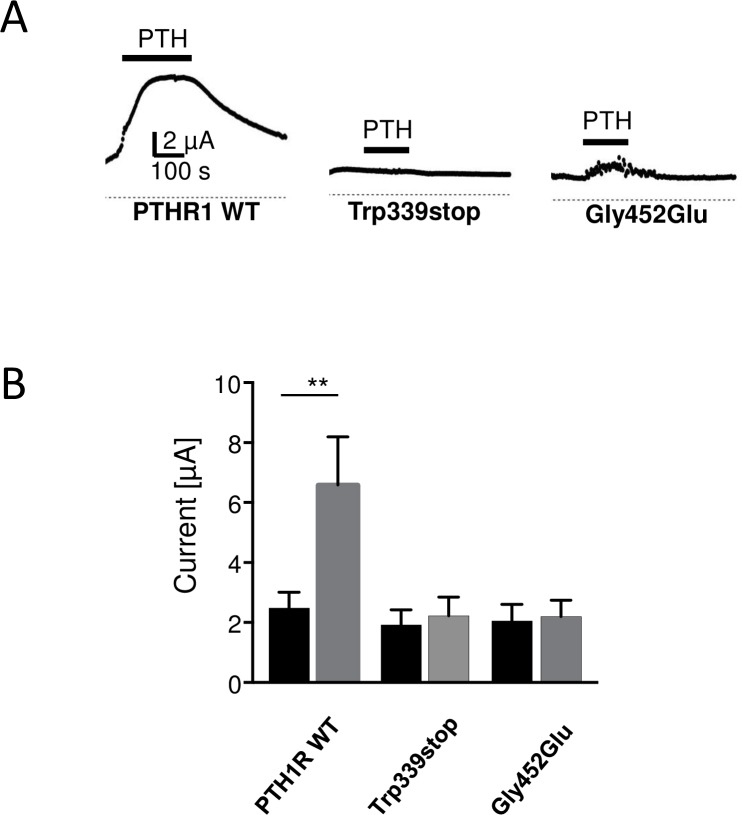 Fig 5