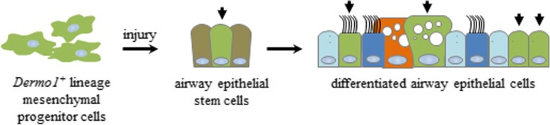 Fig. 8