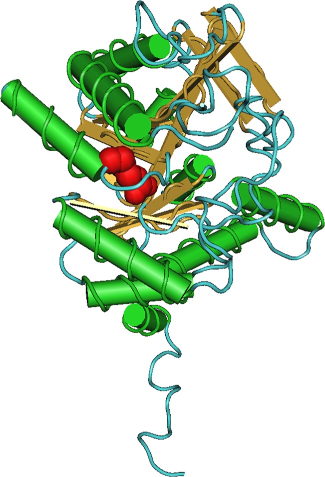 Fig 2