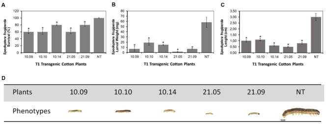 FIGURE 3