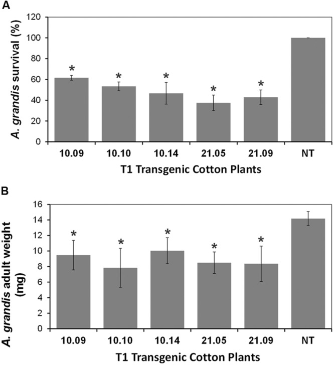 FIGURE 4